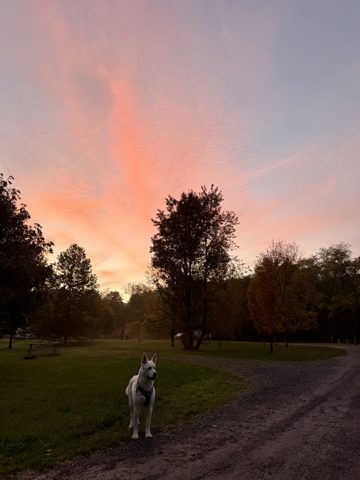 Photo from Mon Oct 12